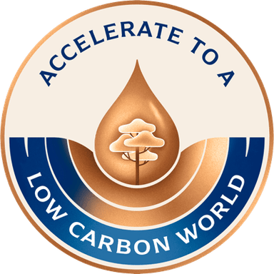 Accelerate to a low carbon world