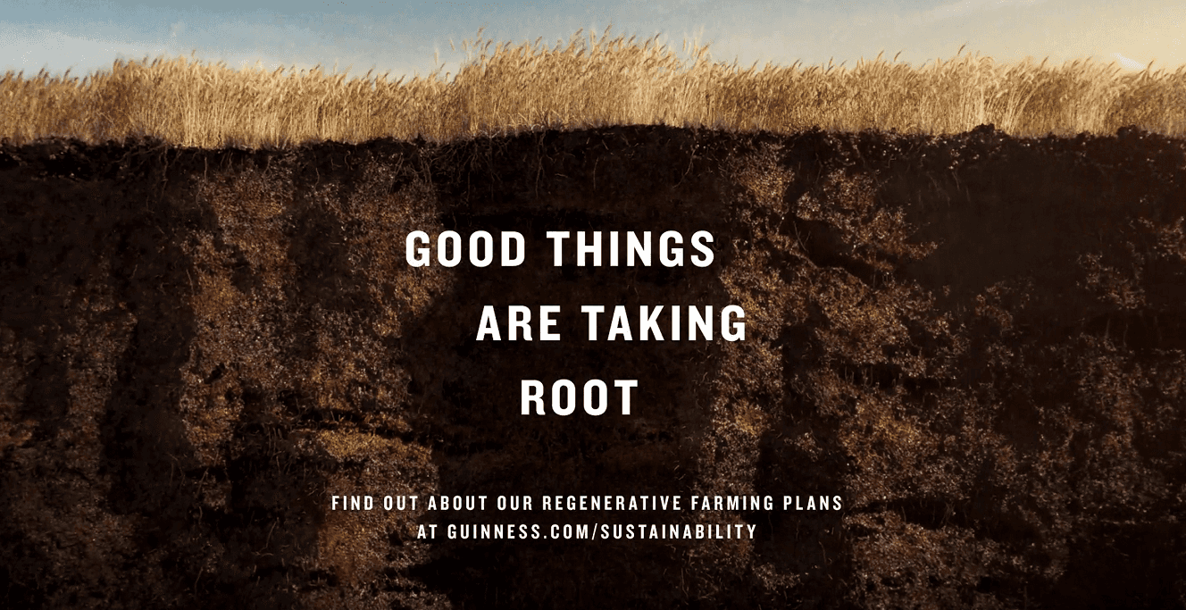 Good things are taking root