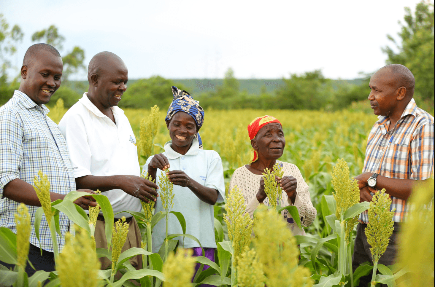 Launch Of Smallholder Farmer Challenges For Diageo Sustainable Solutions