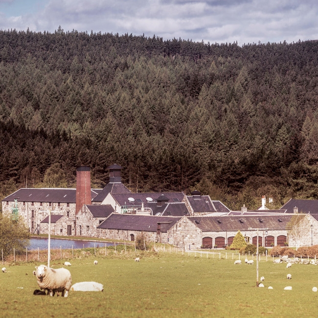 Lochnagar distillery visitor centre