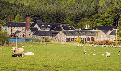 Royal Lochnager showing green fields and sheep