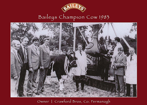 A  group photo of Diageo employees