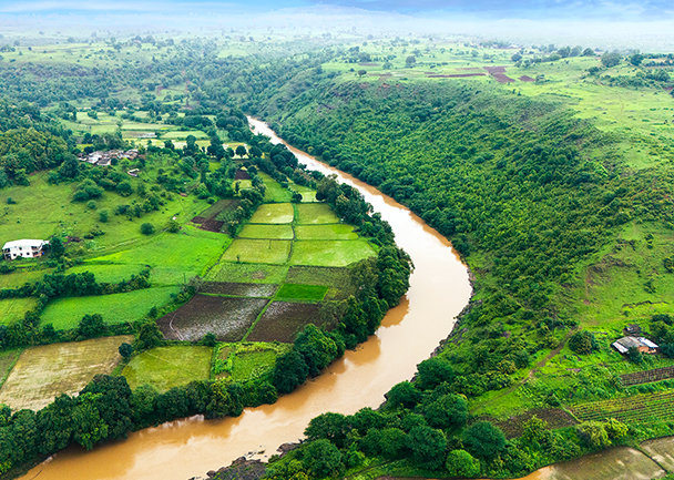 A  group photo of Diageo employees