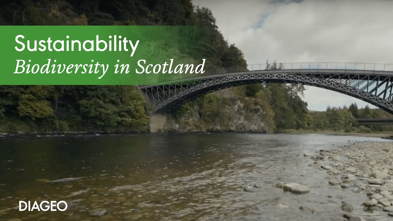 maxresdefault-new-new