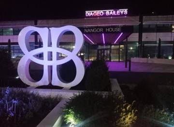 Baileys, Ireland site lit up purple