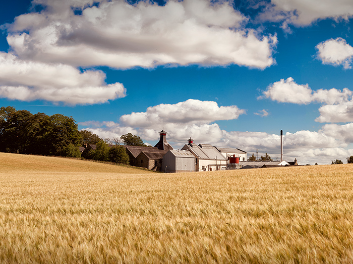 Our Climate Transition Plan