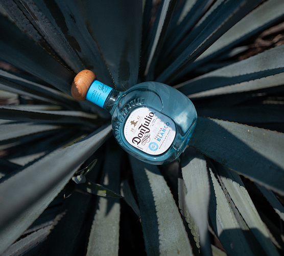 Spirit of progress plan